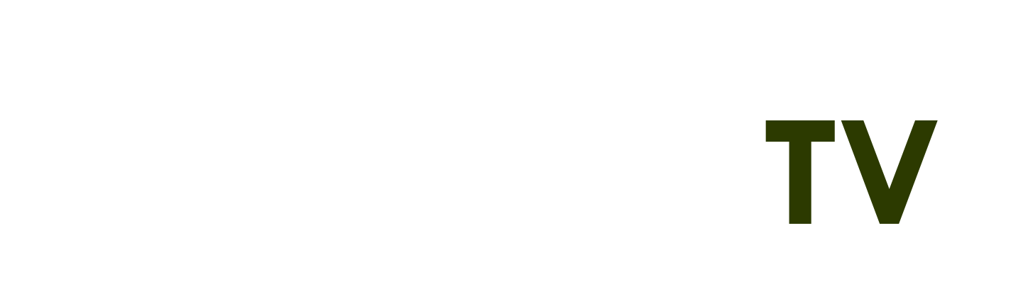 anh huy đất cảng